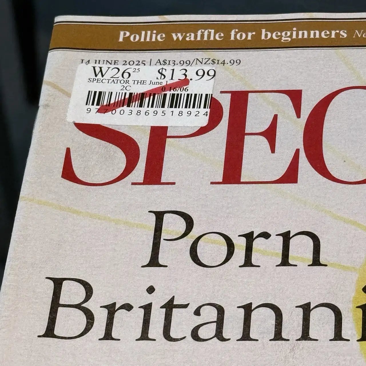 The Spectator Australian Britannia June 2025 Adult Entertainment Focus – photo 3