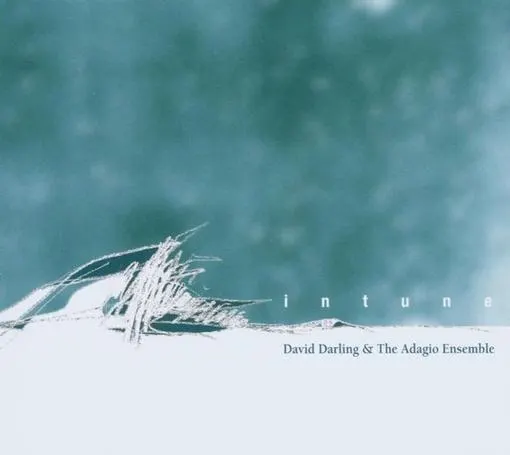 David Darling & The Adagio Ensemble – Intune