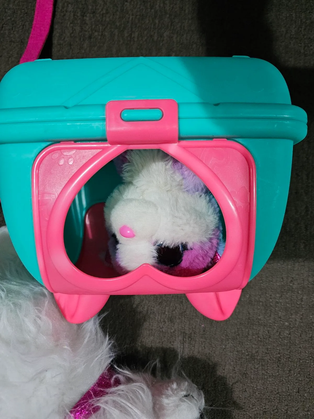 Cat and dog toy – photo 3