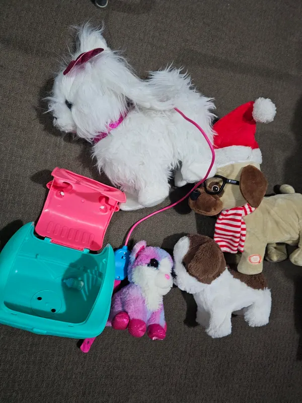 Cat and dog toy