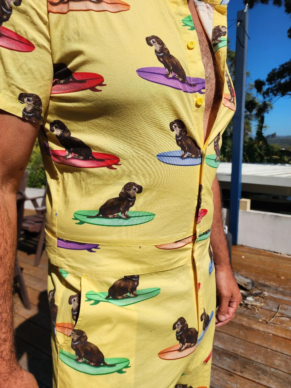 LUCID Apparel RARE Surfing Dachshund Festival Short Sleeve Romper / Doof Suit — photo 3