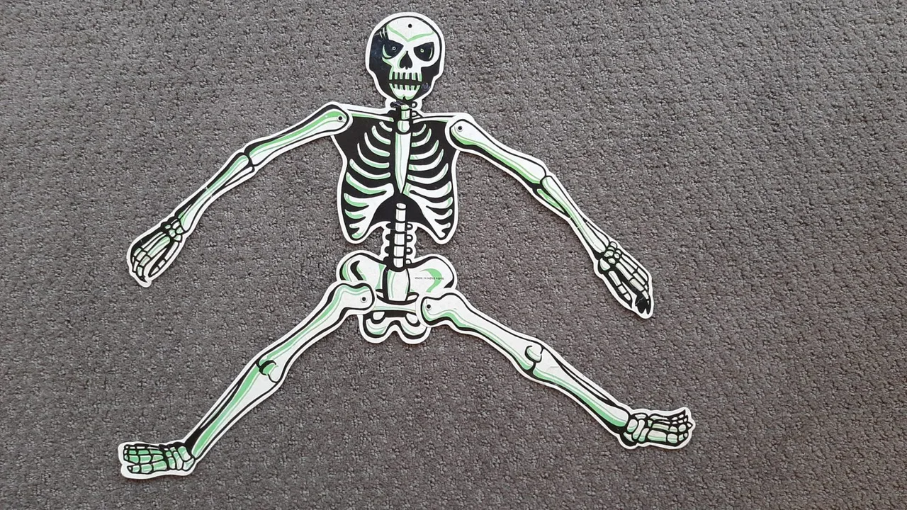 Giant sized Skeleton and Skull from 1980s card cut outs – photo 4