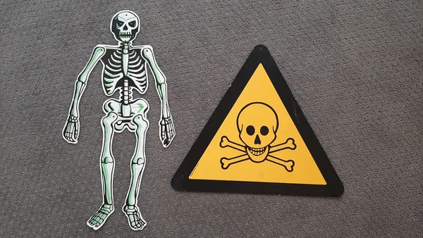 Giant sized Skeleton and Skull from 1980s card cut outs