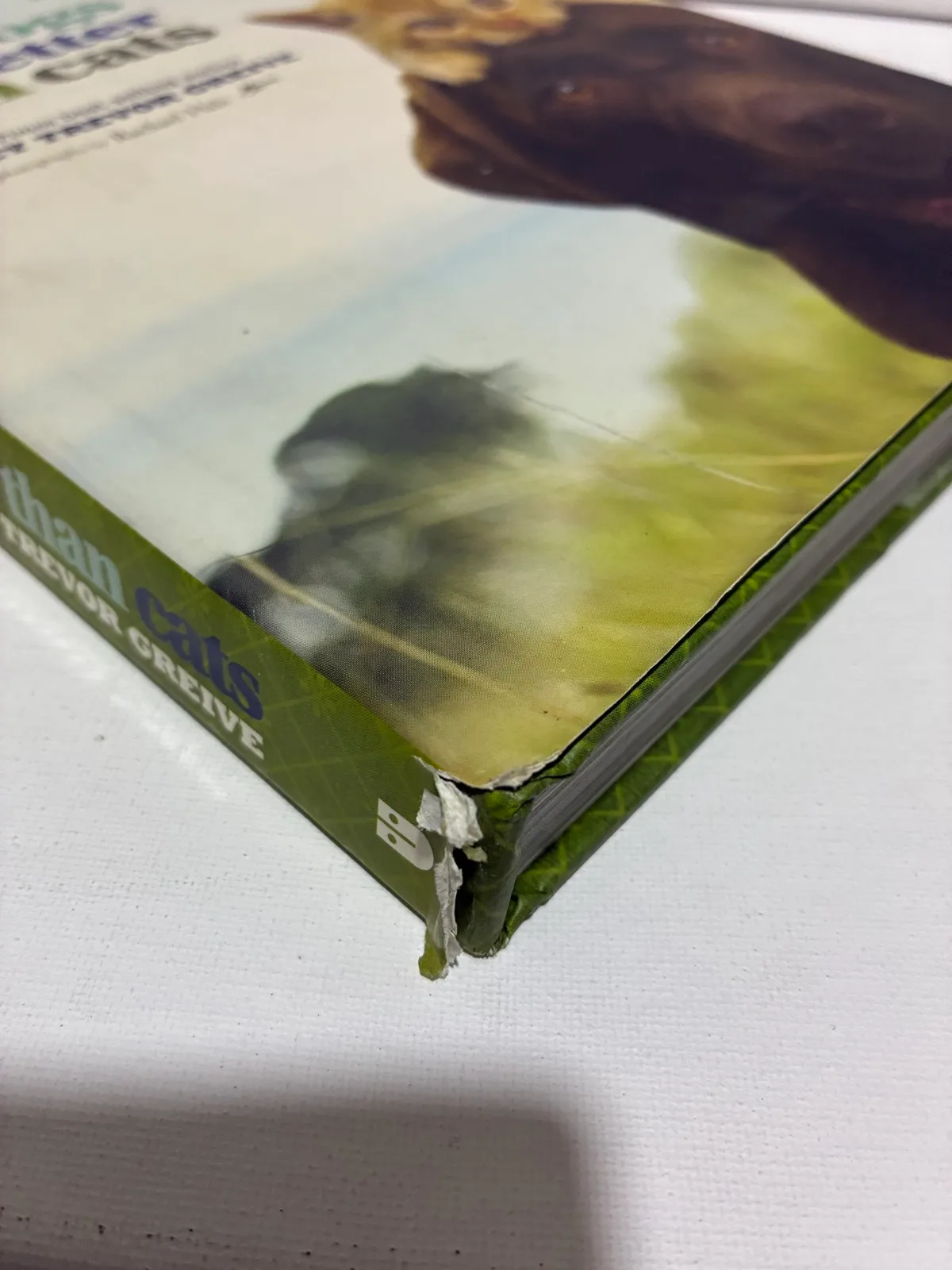 Hardcover book - why dogs are better than cats — photo 3