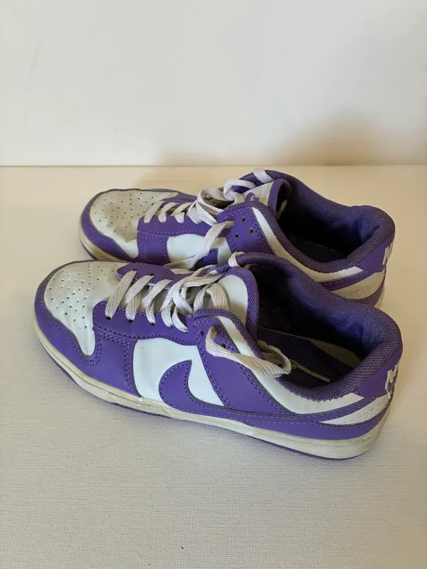 Dunk low pro size 6