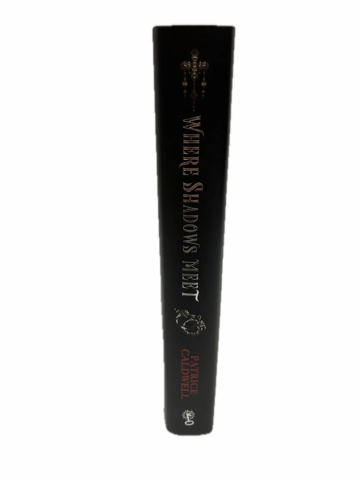 FAIRYLOOT SIGNED Special first edition “where shadows meet” — photo 5