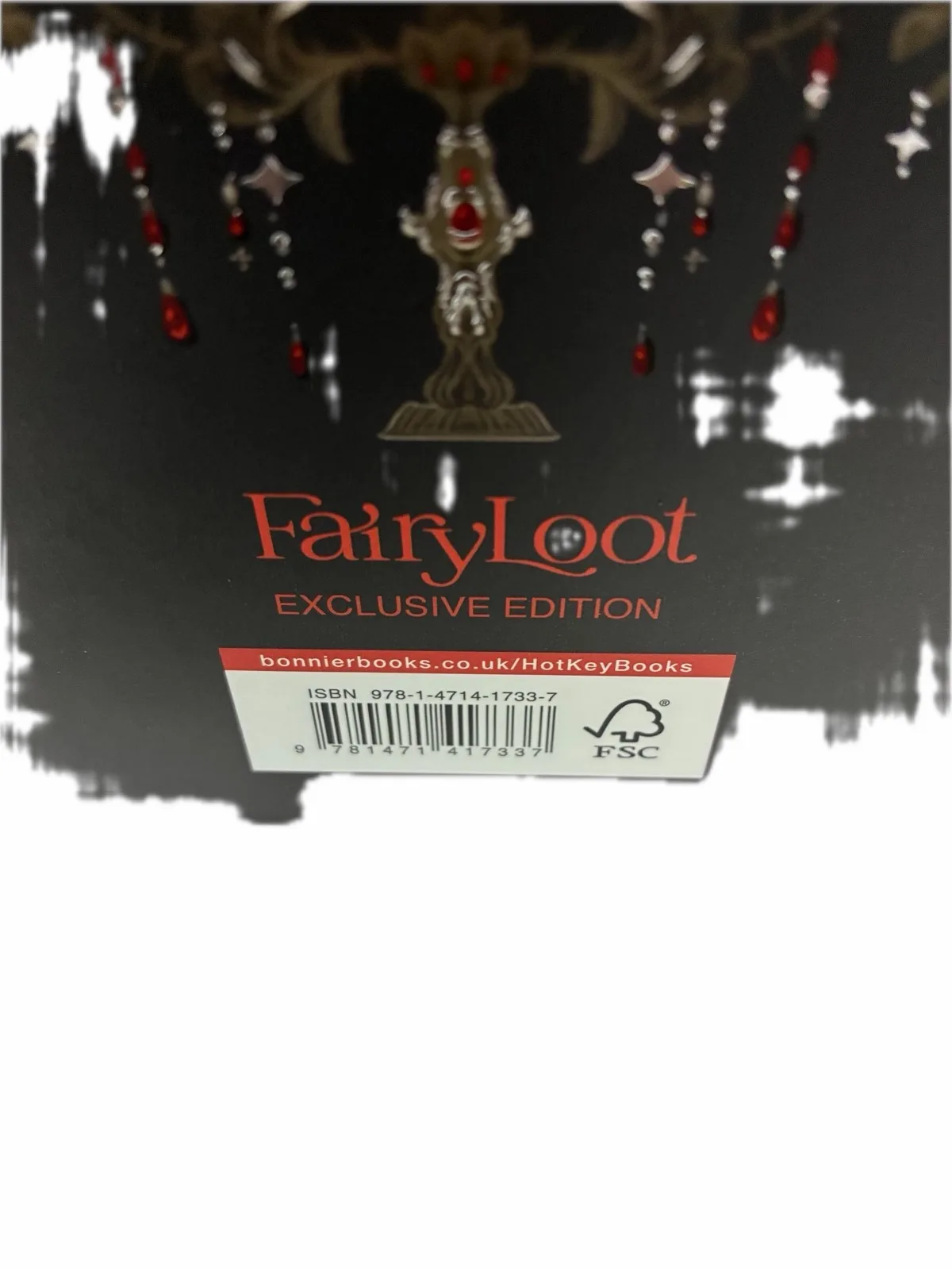 FAIRYLOOT SIGNED Special first edition “where shadows meet” — photo 7