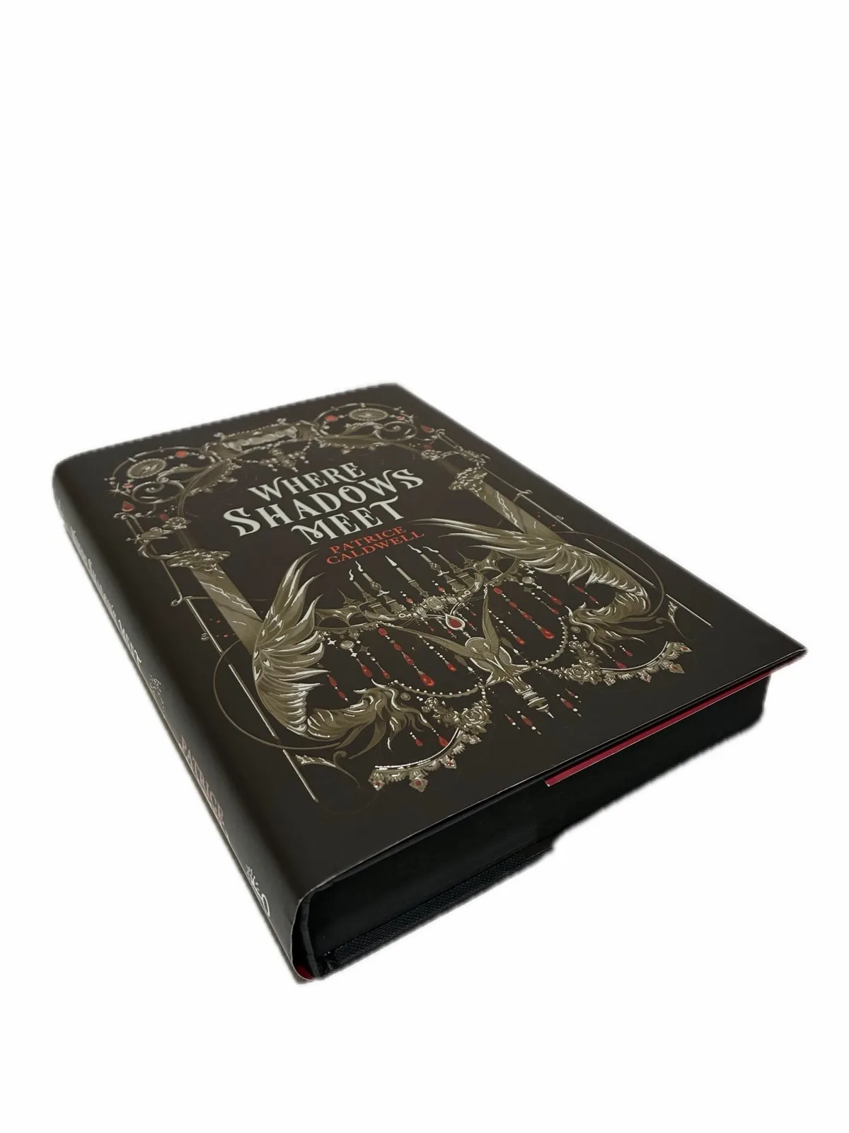 FAIRYLOOT SIGNED Special first edition “where shadows meet” — photo 9