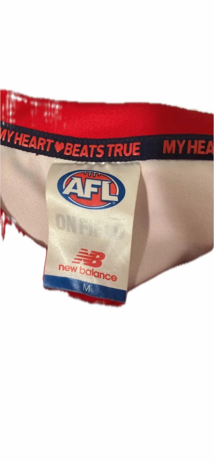 AFL Melbourne Demons signed guersey – photo 4
