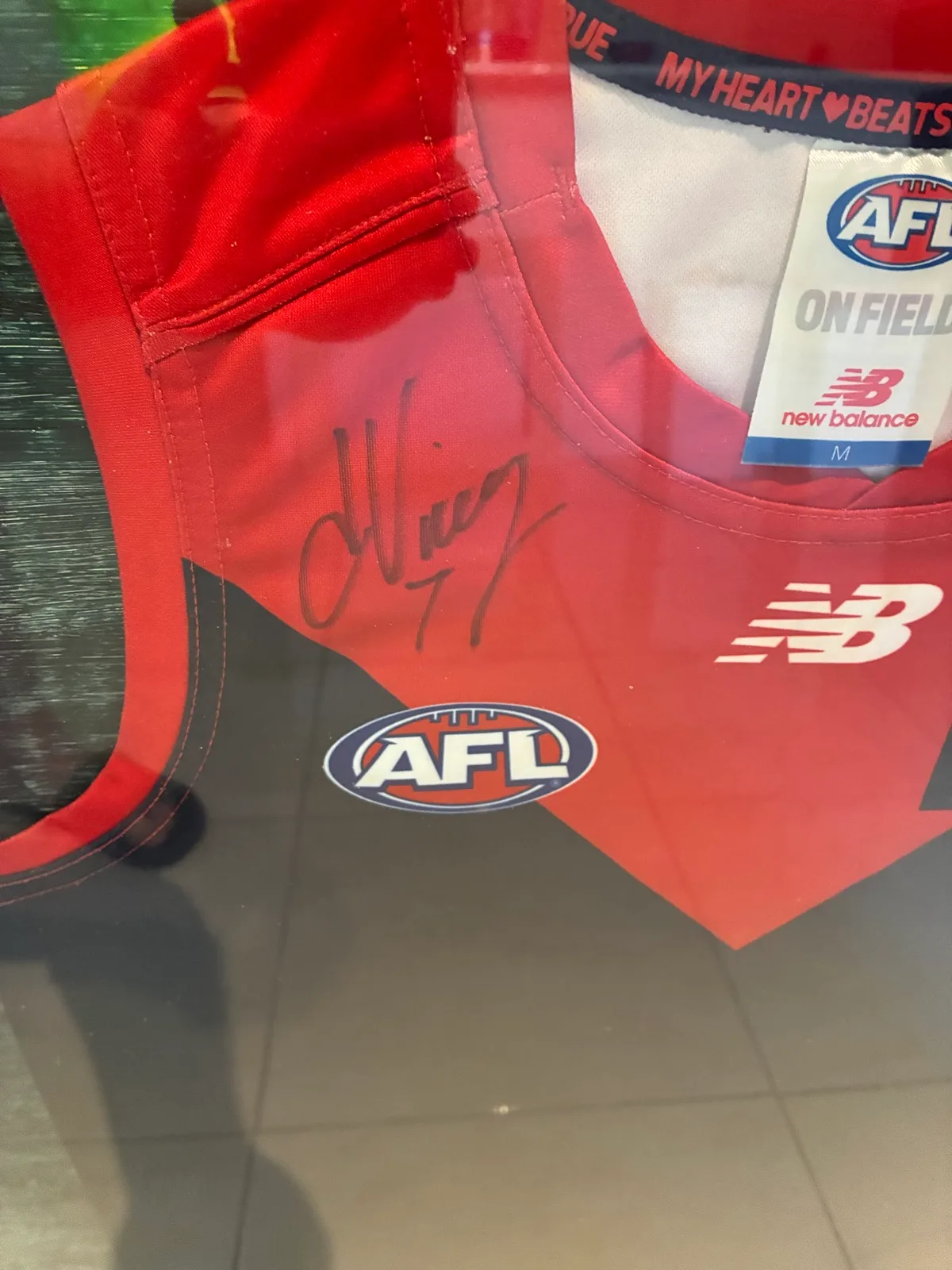 Melbourne Demons Signed and Framed Gurnsey 77cmX65cm – photo 3