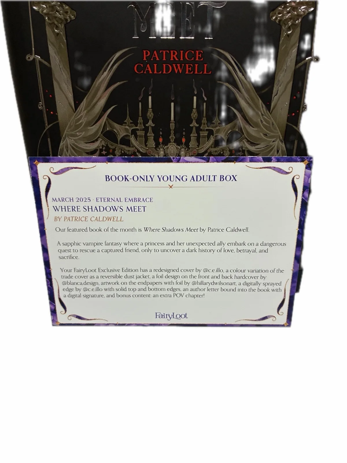 FAIRYLOOT SIGNED Special first edition “where shadows meet” — photo 10