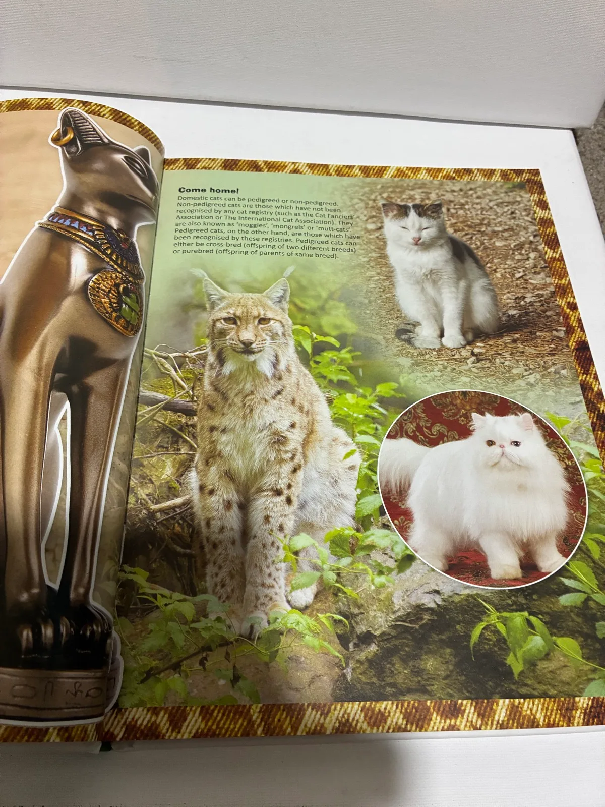 The Encyclopaedia of Cats — photo 5
