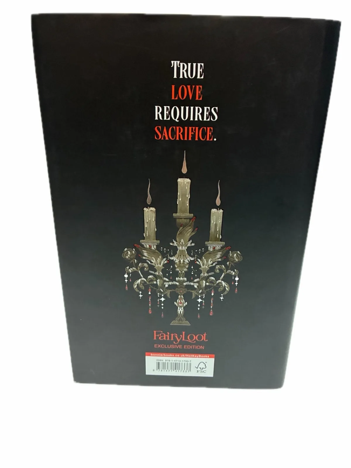 FAIRYLOOT SIGNED Special first edition “where shadows meet” — photo 6