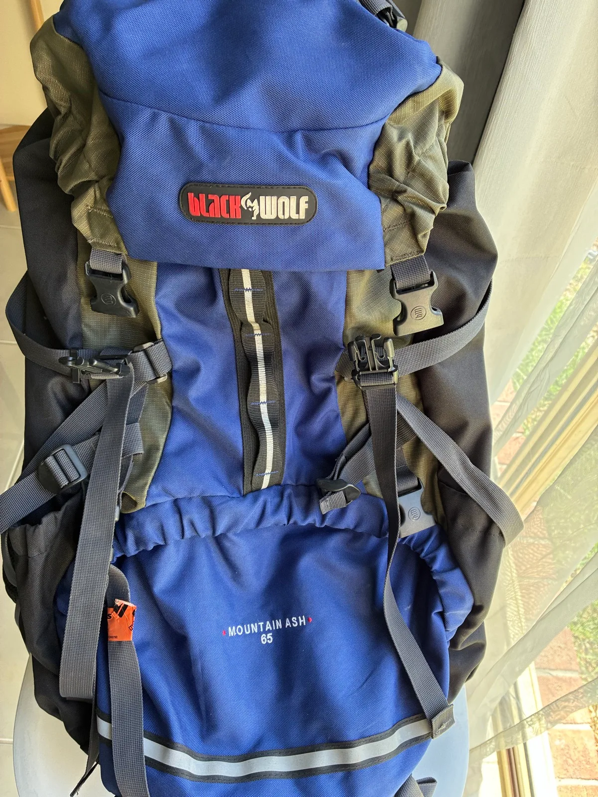 Blackwolf mountain ash 65l hiking pack – photo 2