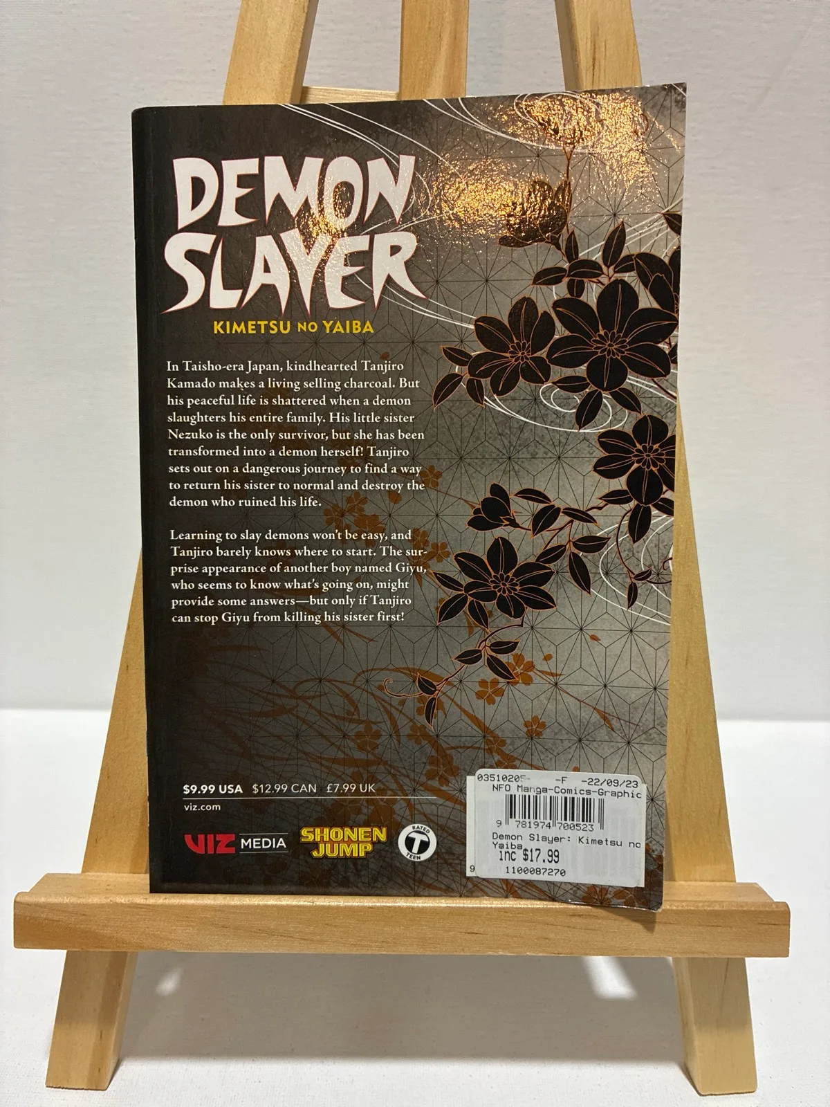 Demon Slayer book 1 Manga — photo 2
