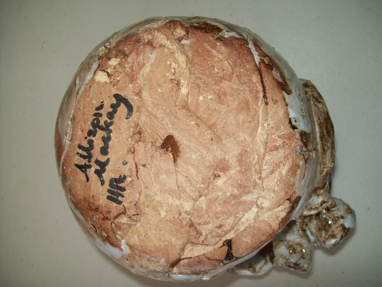 Gumnut Glazed Pottery Bowl. Handmade. New. Ref: ORN0018 – photo 4