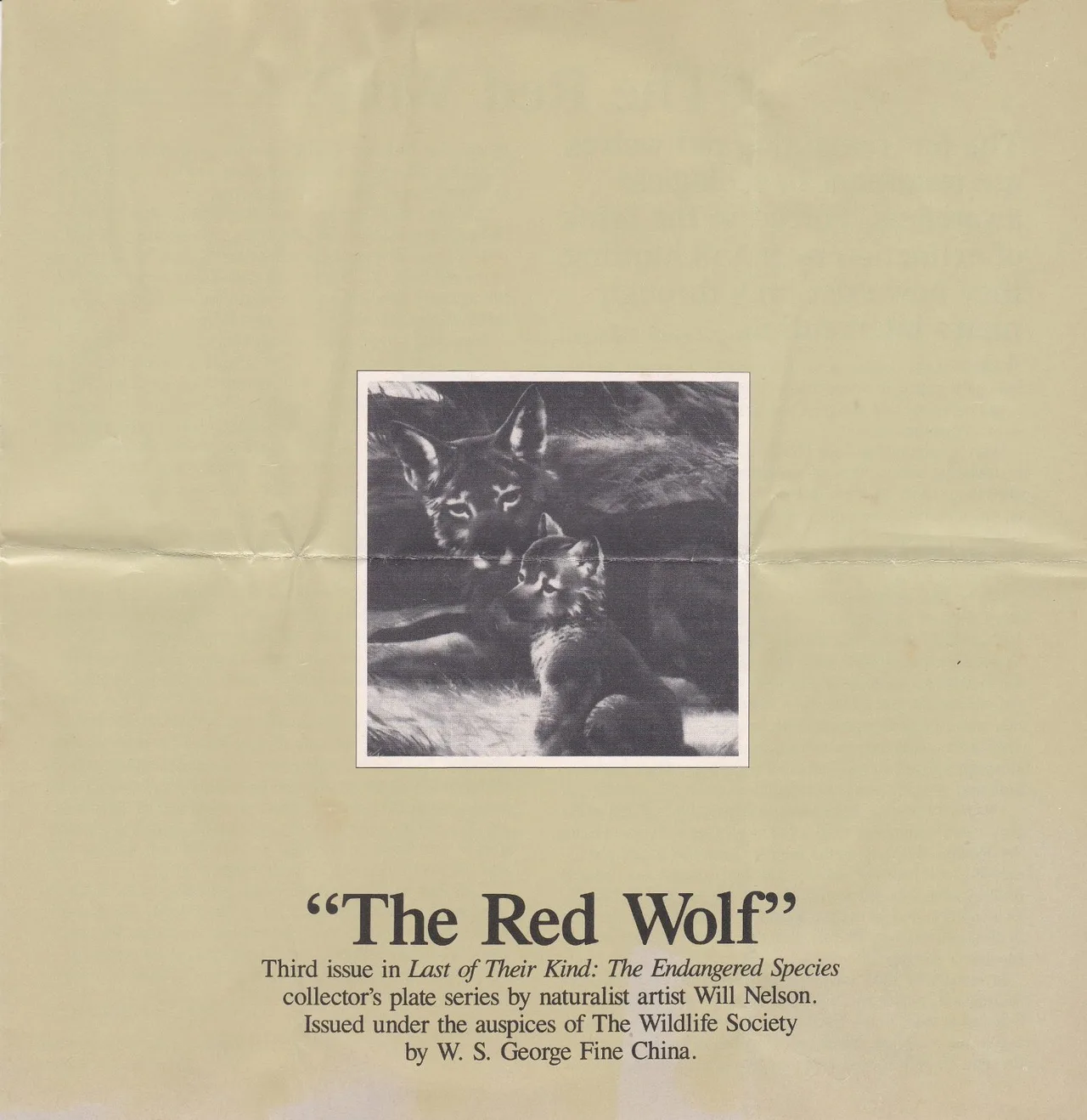 The Panda + The Snow Leopard + The Red Wolf Bradford Plates. As New. Ref: PLT009 – photo 11