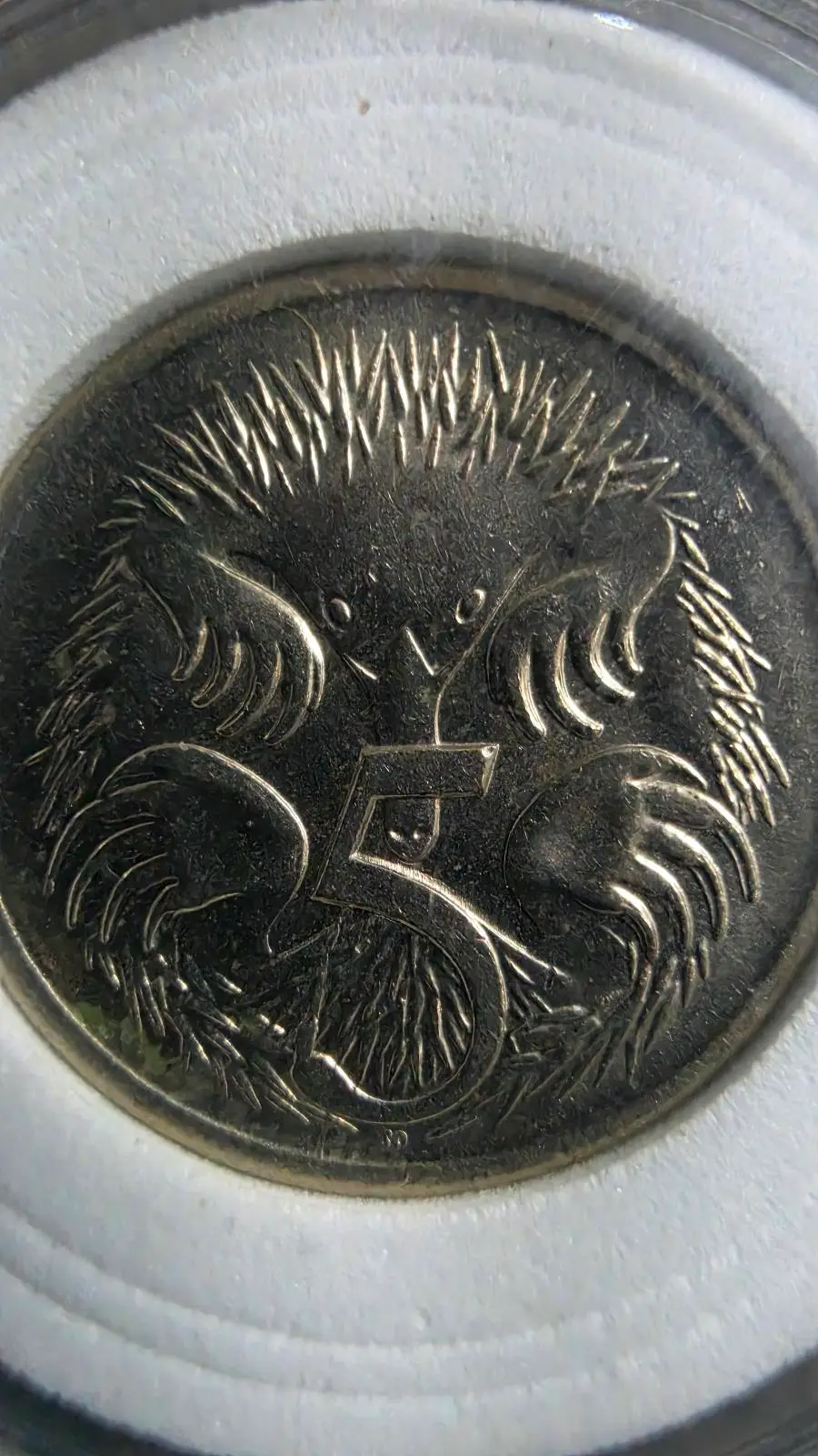 Title: 2001 Australian 5c Flamingo Error Coin — Rare Find – photo 4