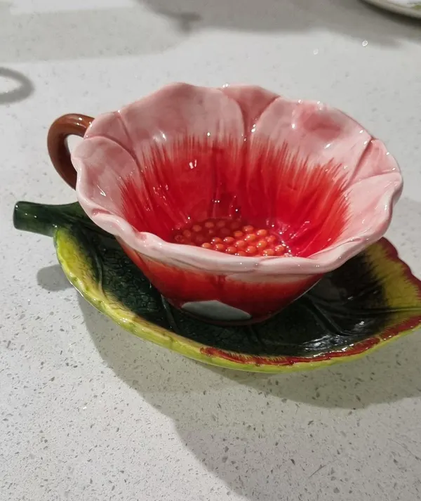 Tea cup & saucer novelty set