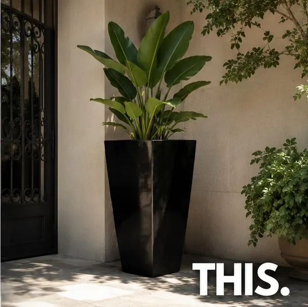75cm Black Fibreglass Statement Planter, Modern Garden & Entryway