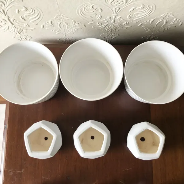Set of Six White Garden Pots