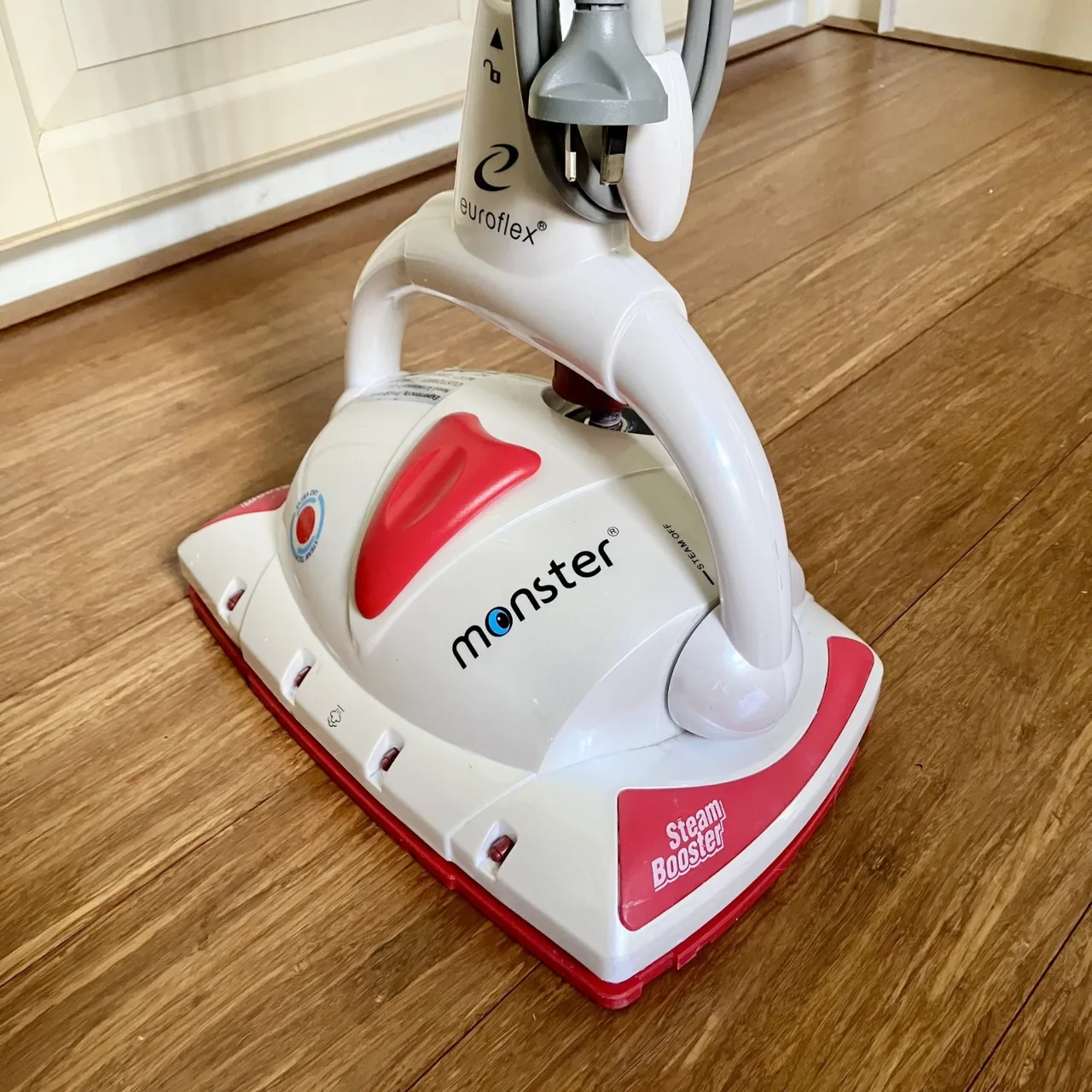 Working used Euroflex Monster SC1Z1 Steam Cleaner — photo 2