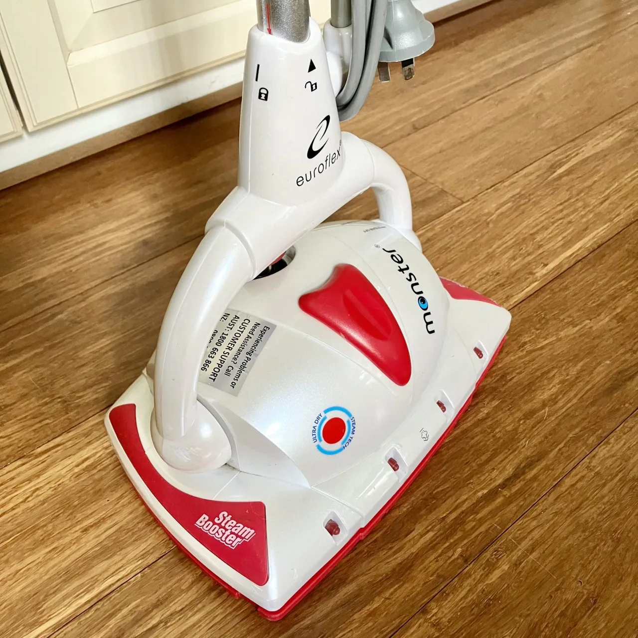 Working used Euroflex Monster SC1Z1 Steam Cleaner — photo 4