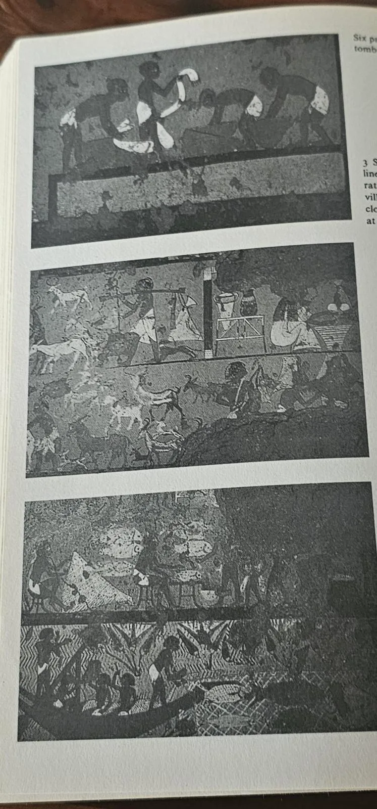 Ancient lives: The story of the Pharoahs Tombmakers — photo 3