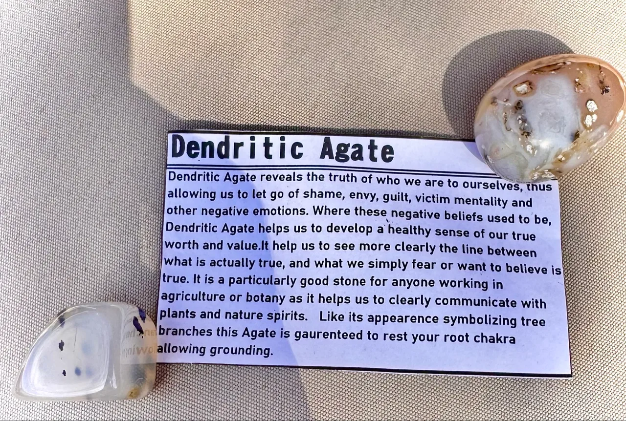 Dendritic Agate Tumble-stone x 1 — photo 4