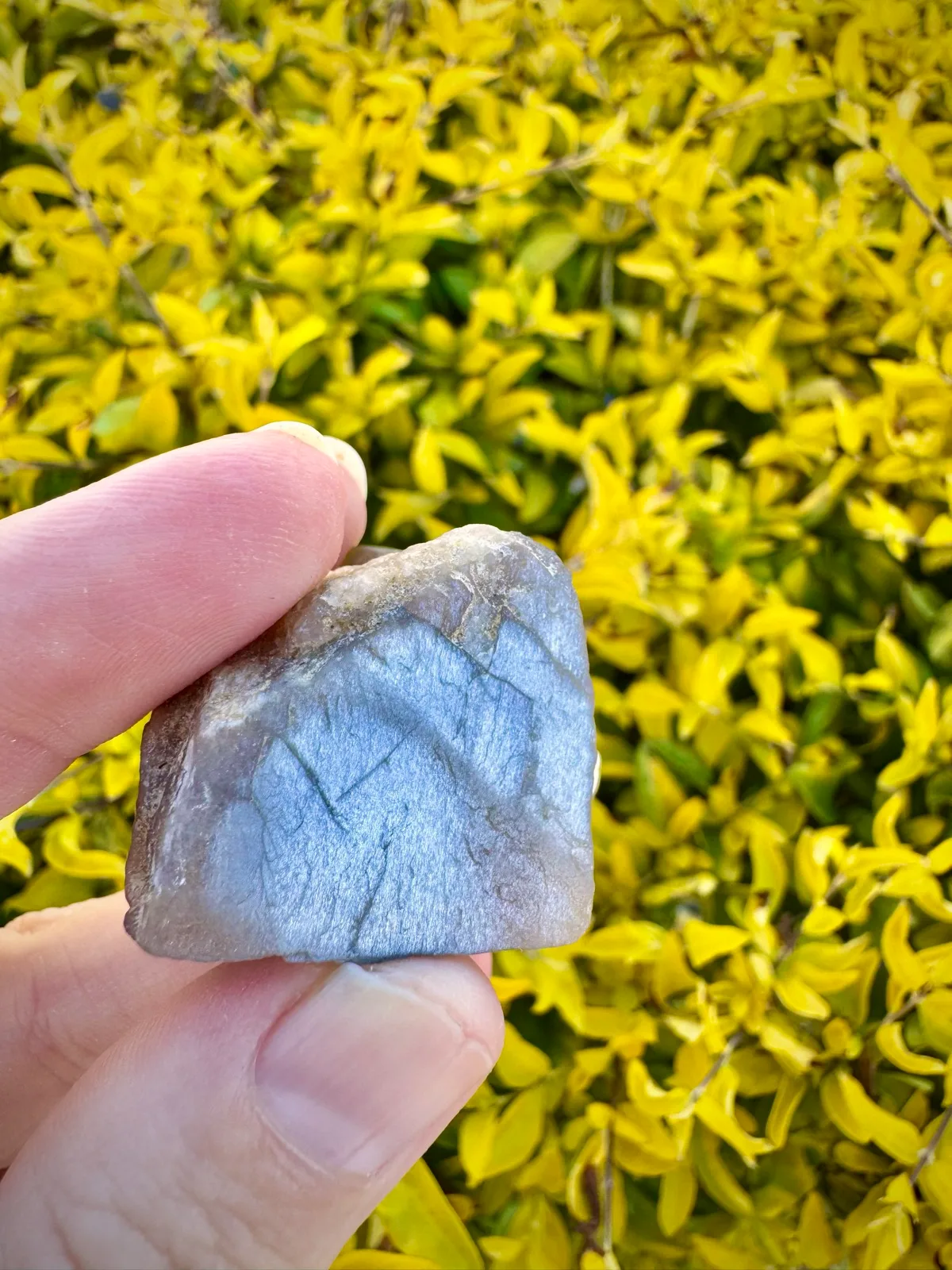 Meteor Shower Moonstone Rare Specimen — photo 3
