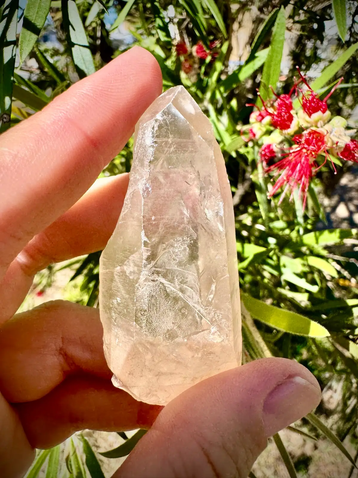 Lemurian Crystal Quartz point – photo 5