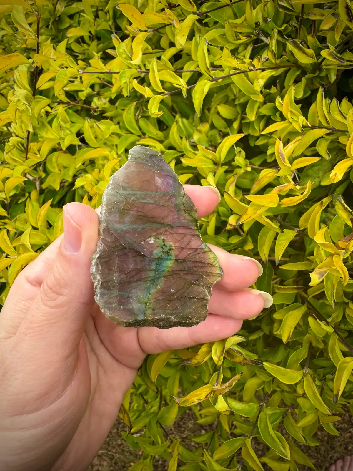 labradorite crystal rough – photo 4