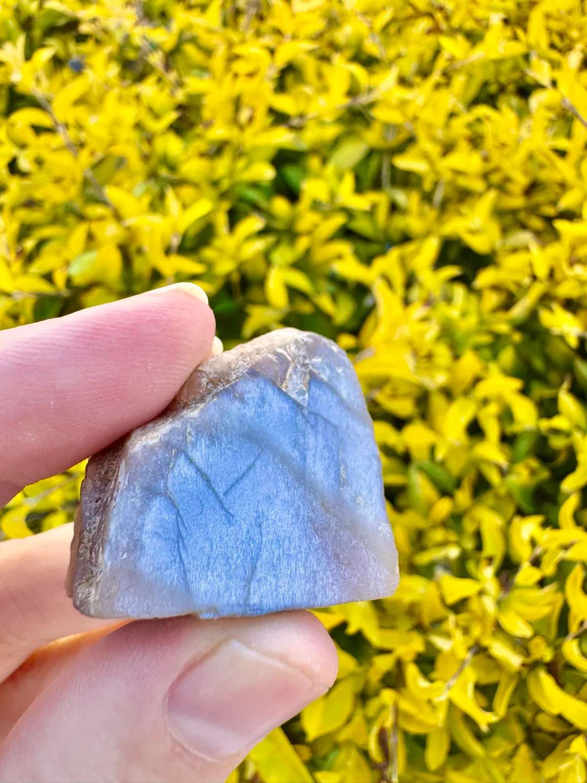 Meteor Shower Moonstone Rare Specimen — photo 5