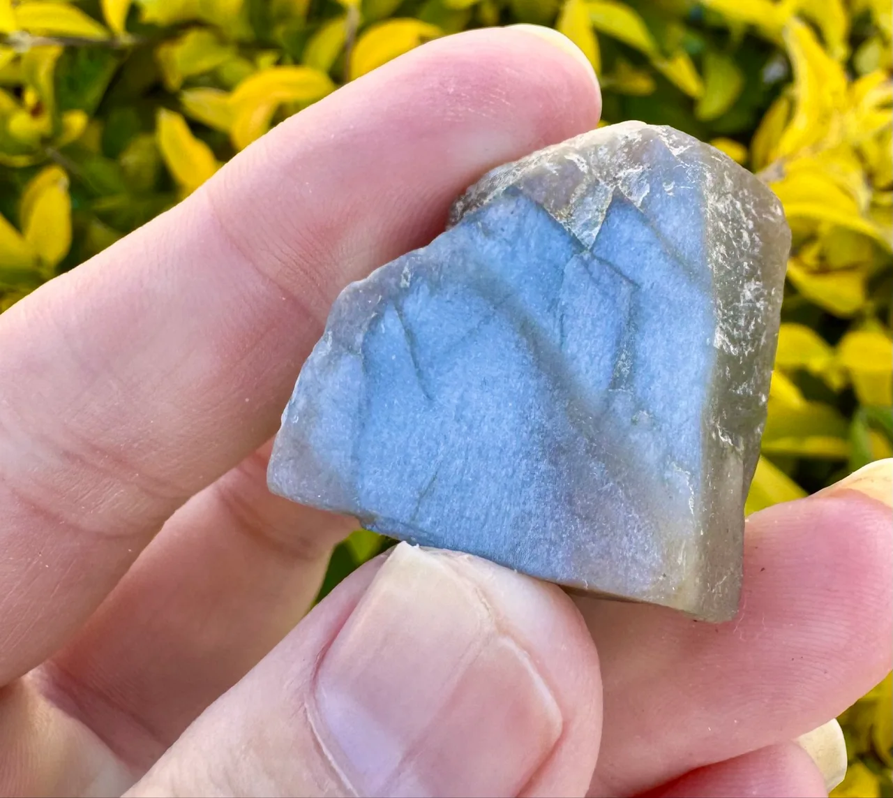 Meteor Shower Moonstone Rare Specimen — photo 2