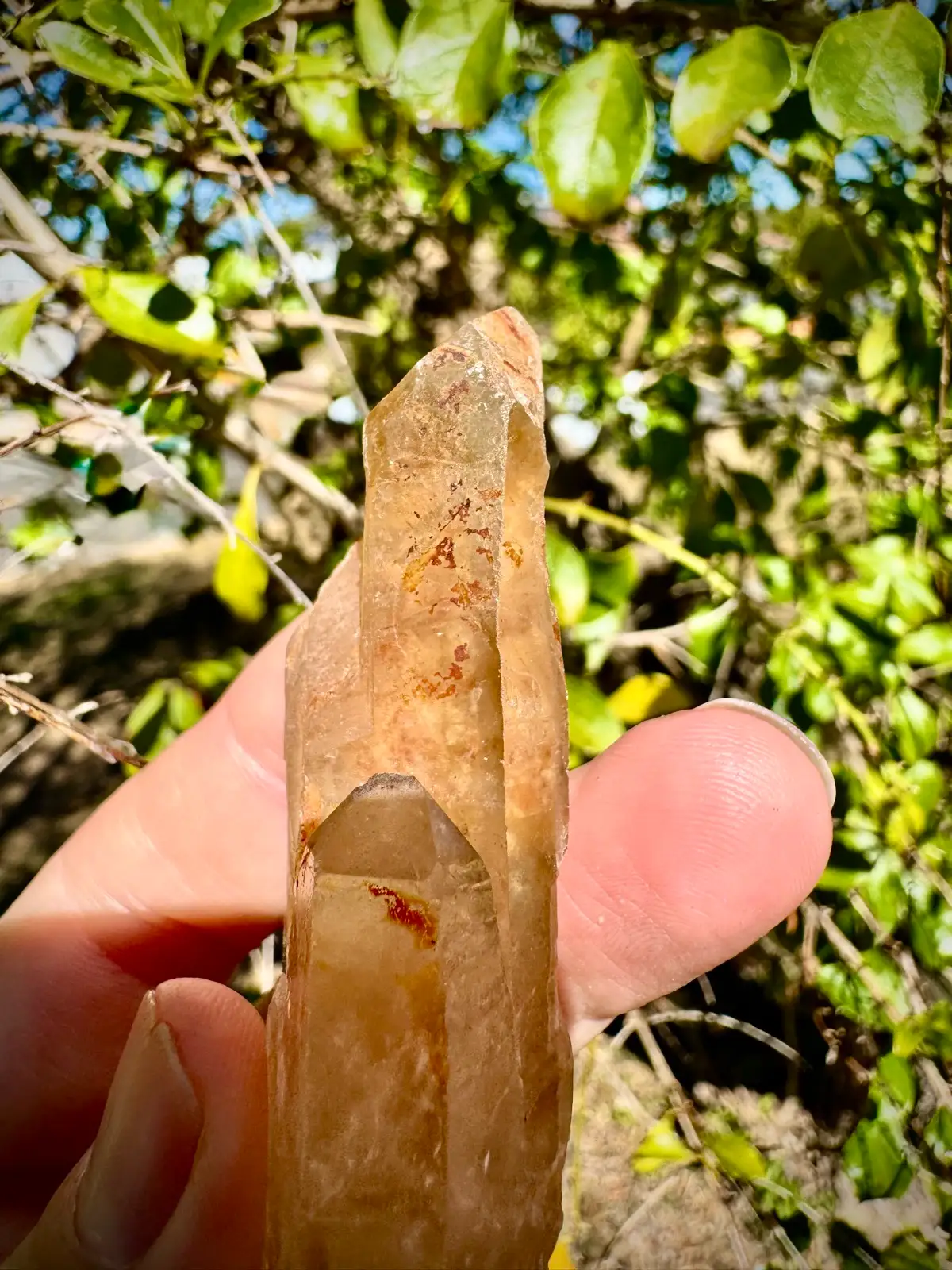 Lemurian crystal wand – photo 3
