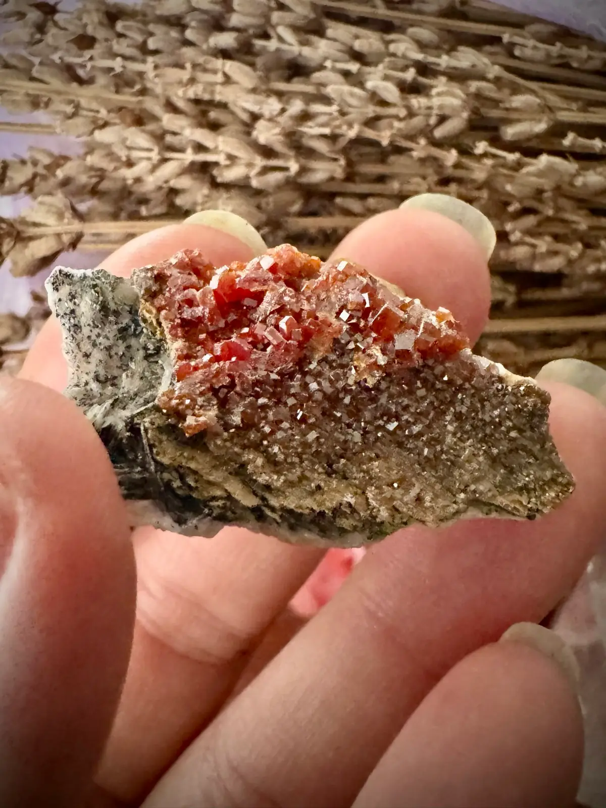 Vanadinite Crystal Cluster – photo 7