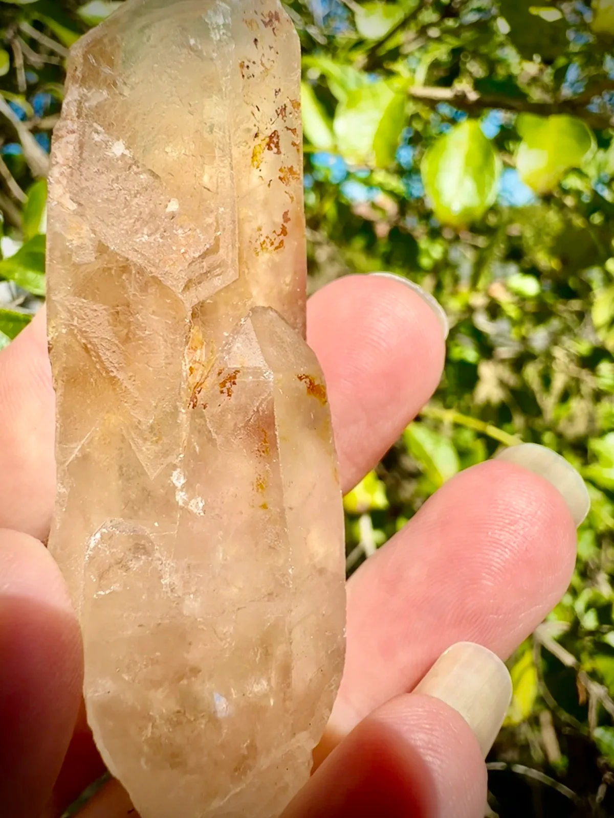 Lemurian crystal wand – photo 4