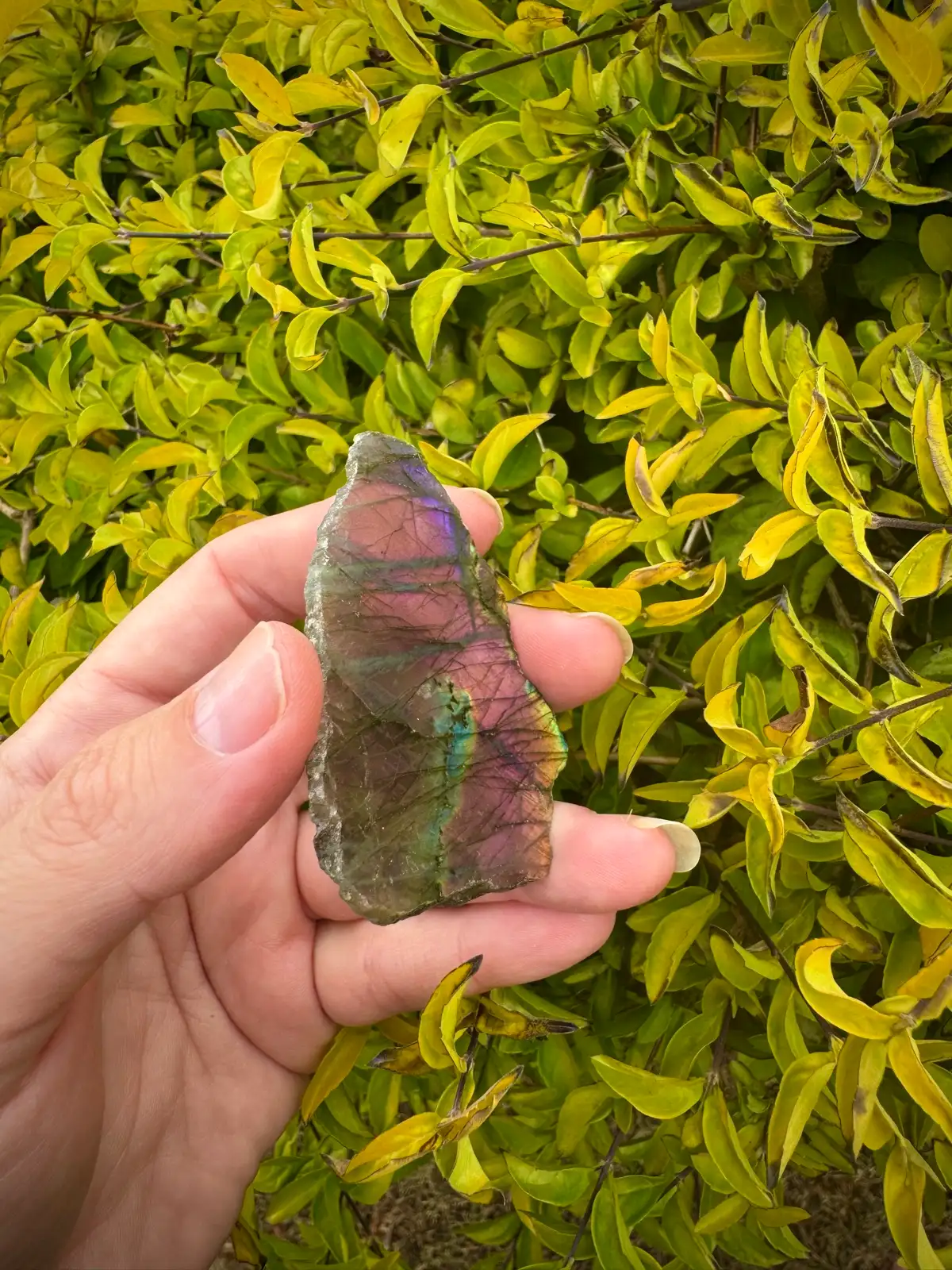 labradorite crystal rough – photo 7