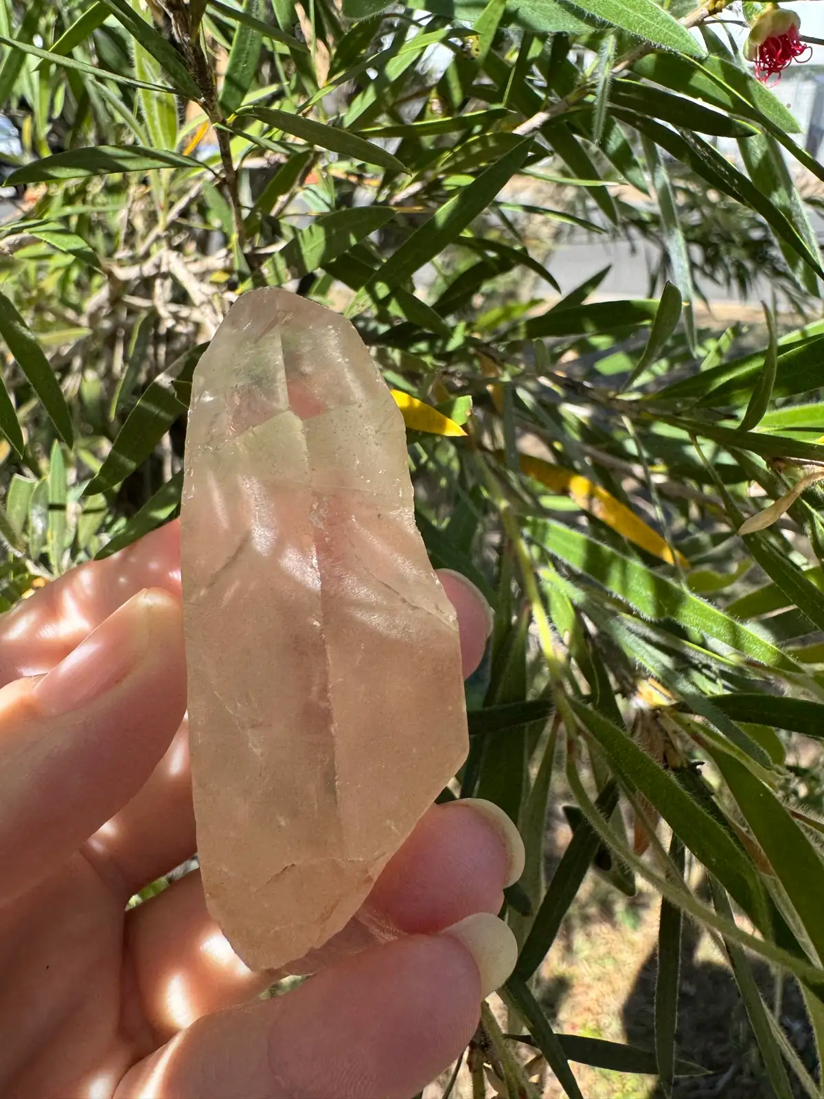 Lemurian Crystal Quartz point – photo 7