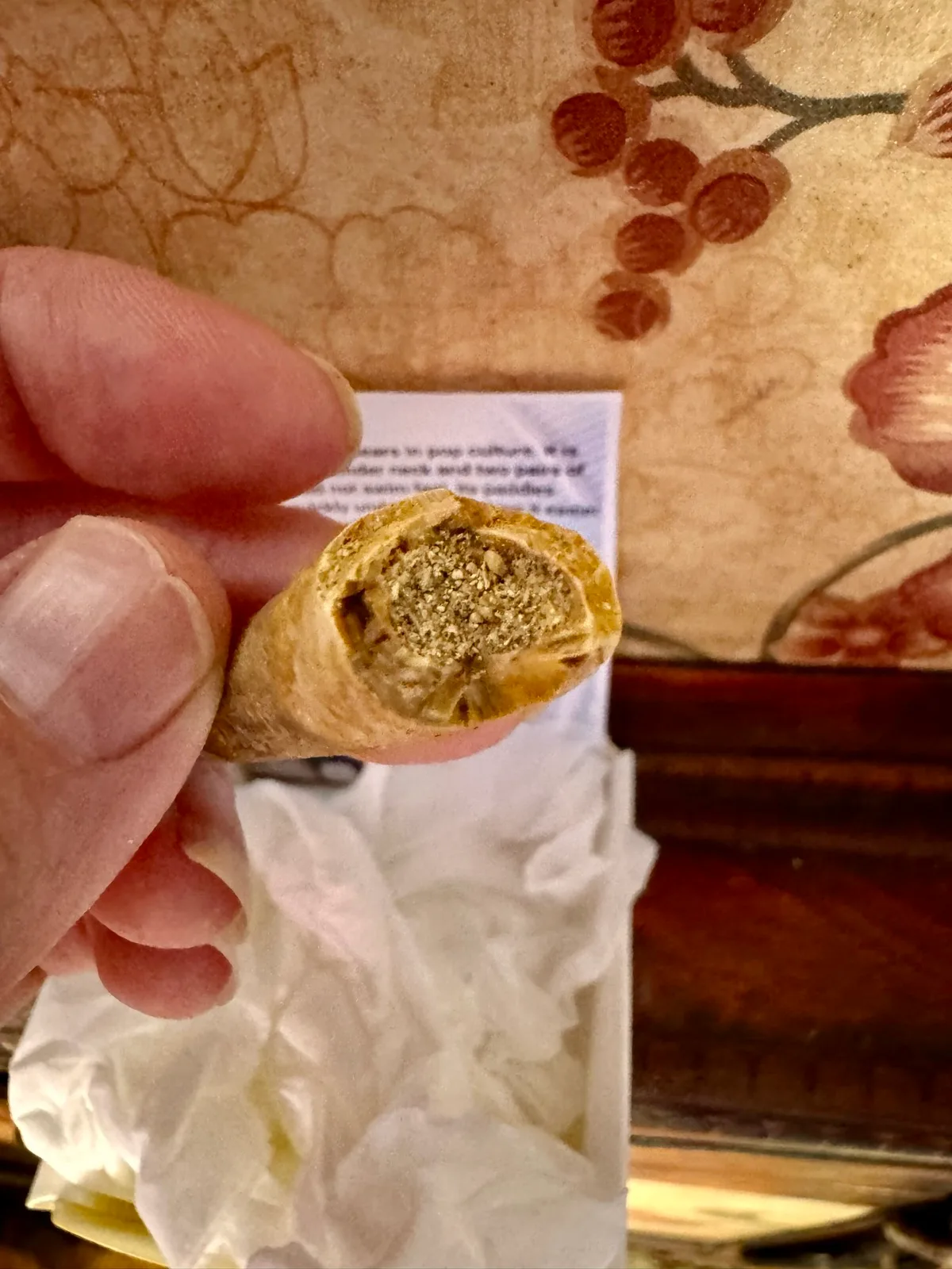 Genuine Plesiosaur  (Zarafasaura oceanis) dinosaur tooth rare specimen extra lar — photo 5