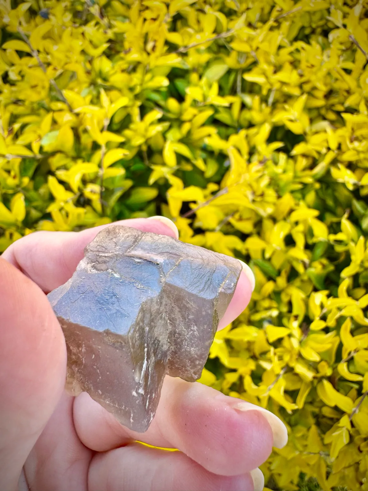 Meteor Shower Moonstone Rare Specimen — photo 4