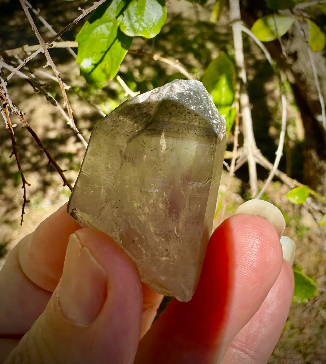 Lemurian Crystal Quartz – photo 3