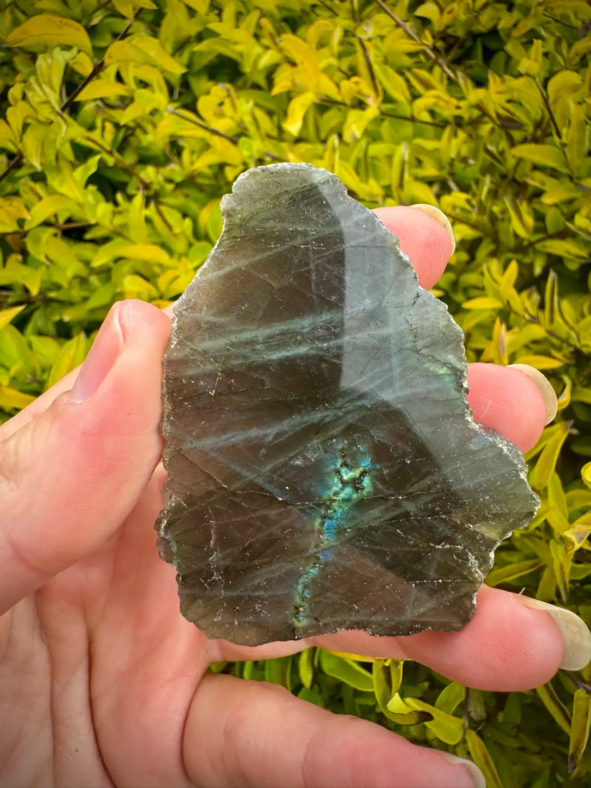 labradorite crystal rough – photo 8