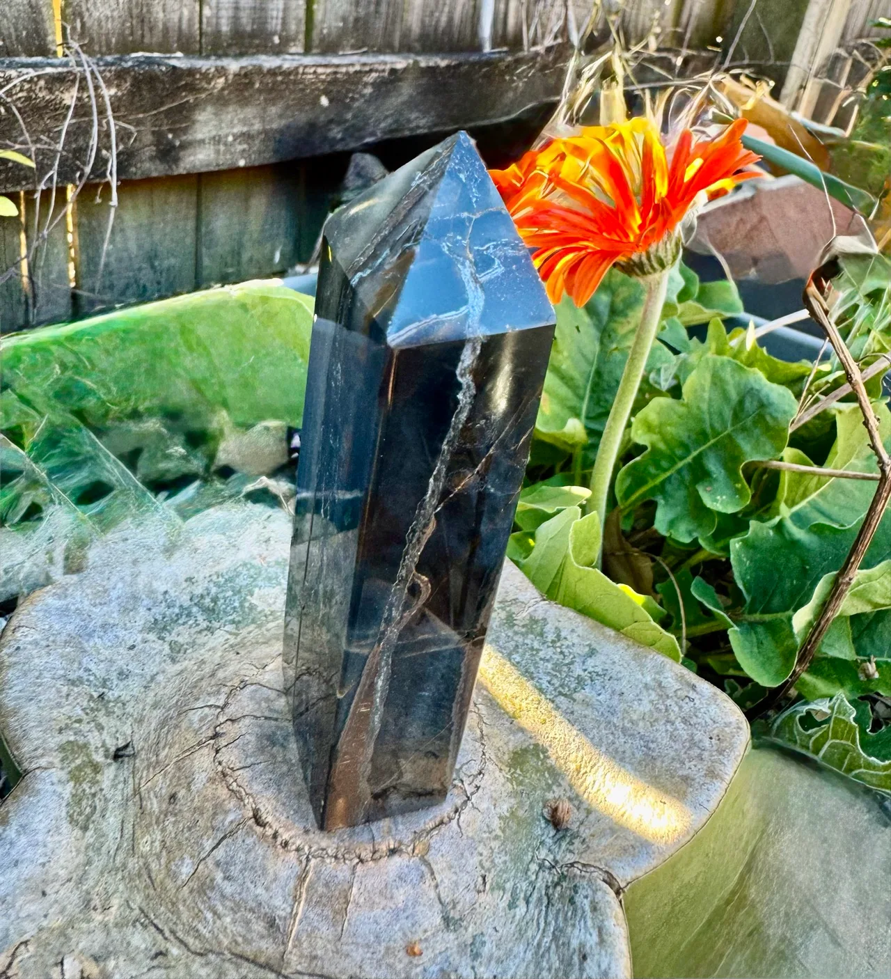 Blue tigers eye rare tower – photo 6