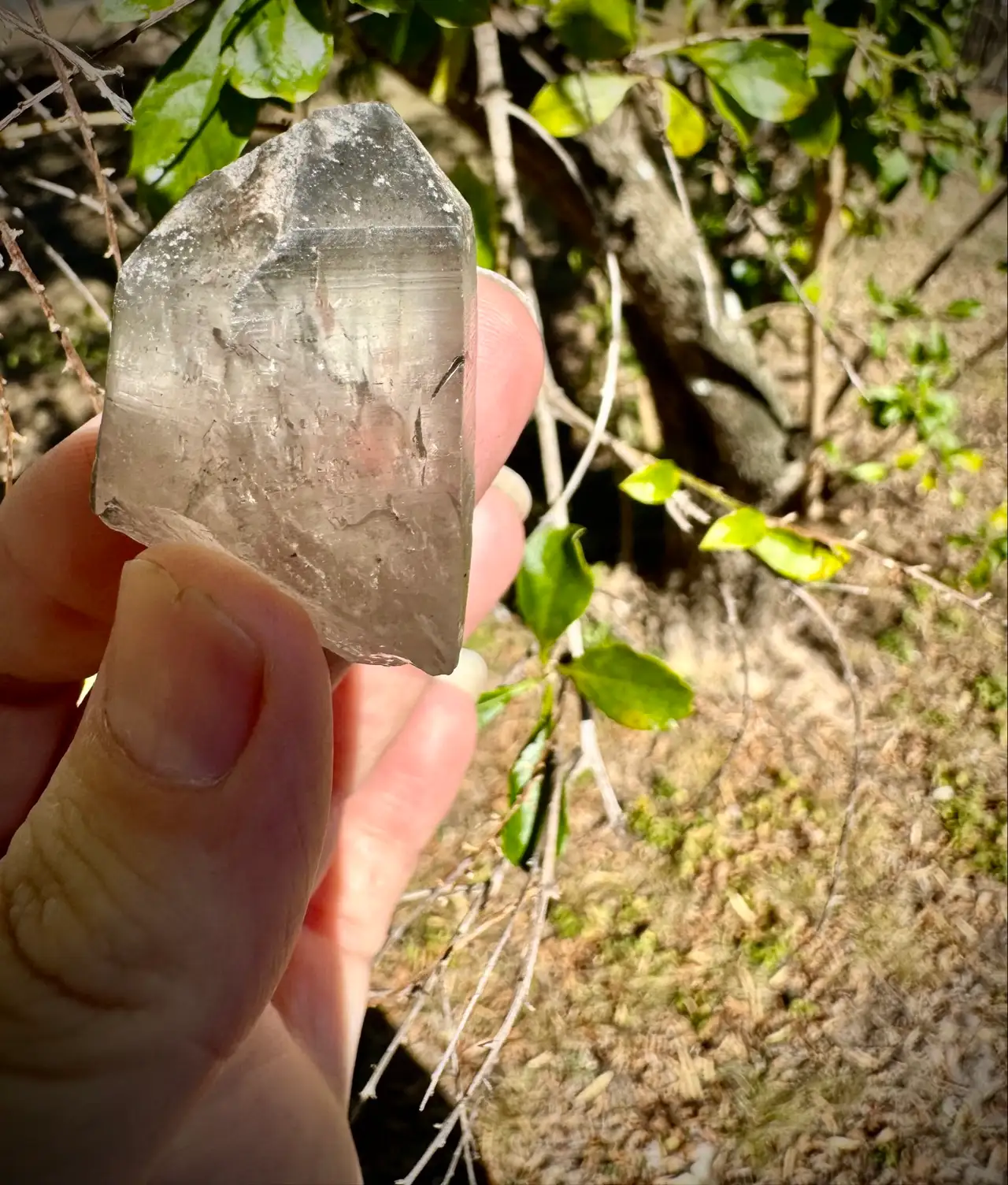 Lemurian Crystal Quartz – photo 2