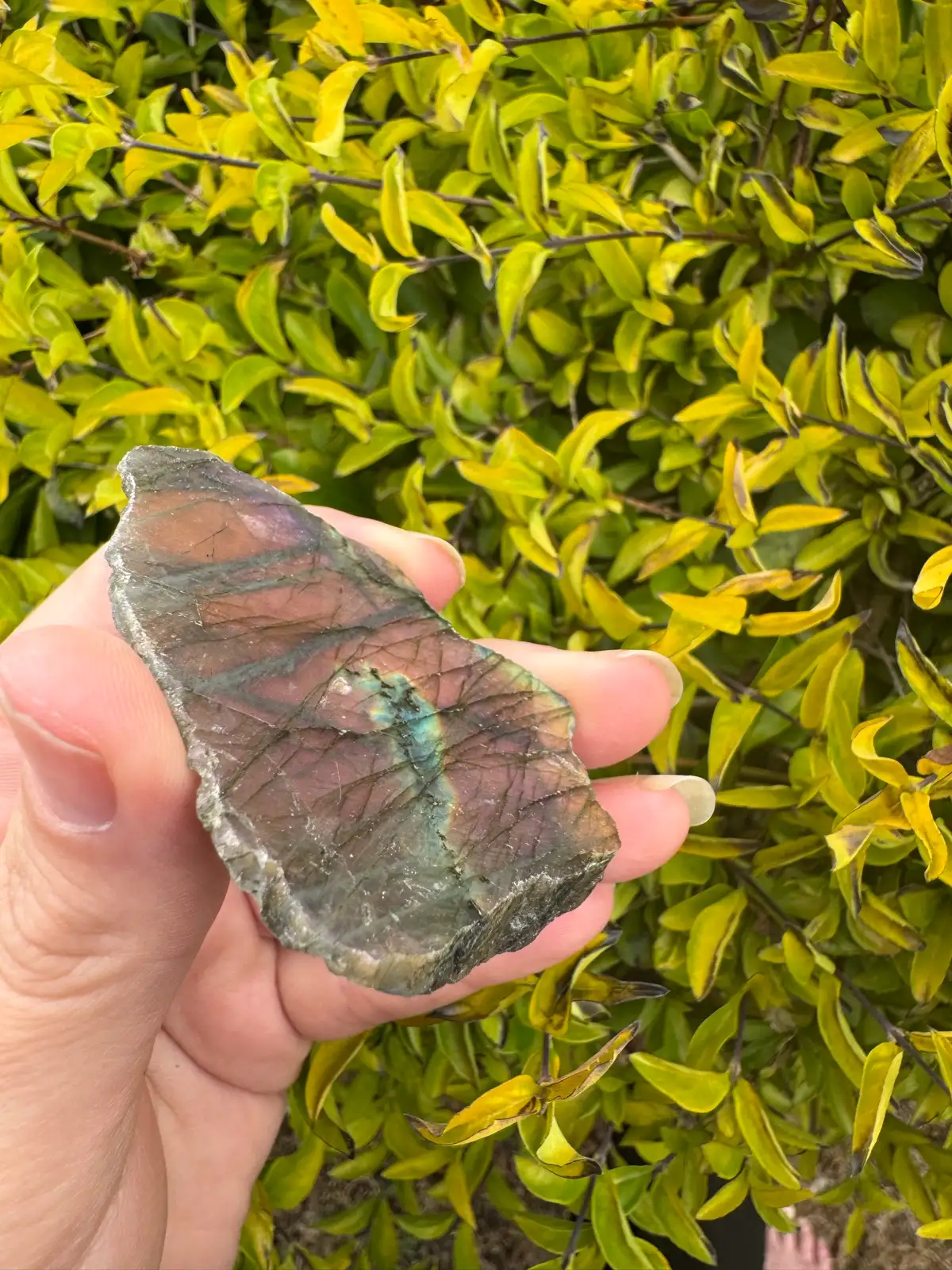 labradorite crystal rough – photo 2