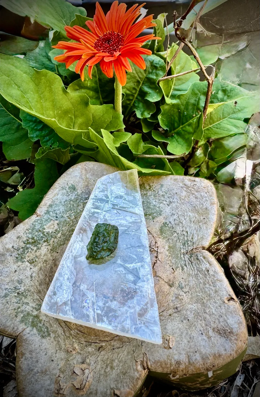Moldavite From Bulivea Czech Rare Meteorite Glass – photo 2