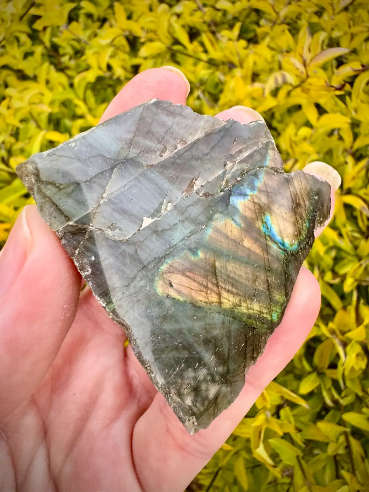 Rainbow Labradorite Crystal Rough polished face – photo 3