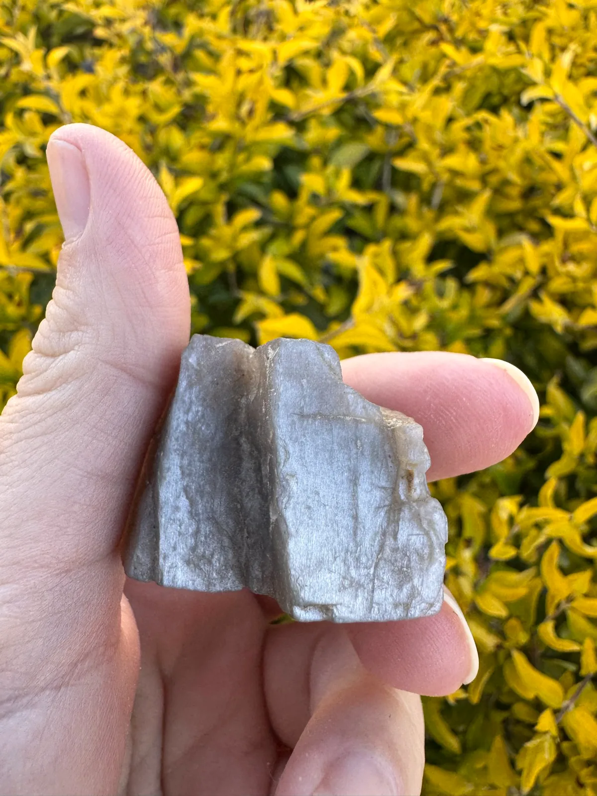 Meteor Shower Moonstone Rare Specimen — photo 8