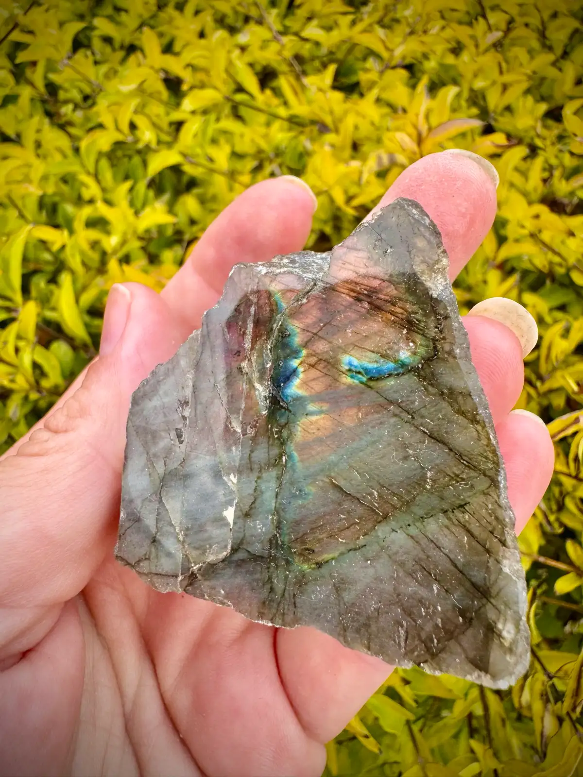 Rainbow Labradorite Crystal Rough polished face – photo 2